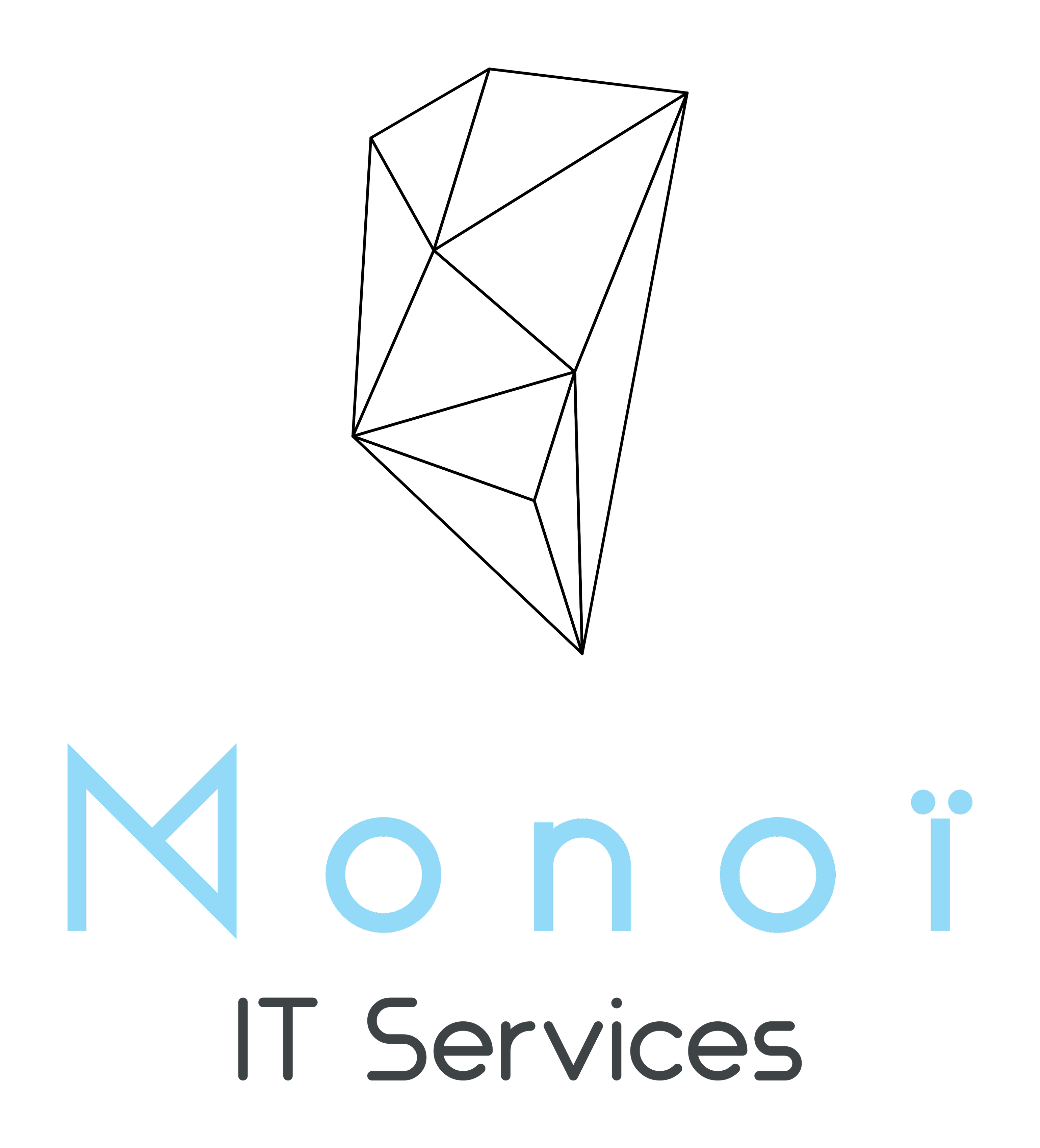 Mono IT Services
